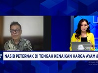 Video: Peternak Iri Dengan Petani, Minta Prabowo Beri Kepastian Harga