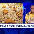Video: Peternak Mengeluh, Harga Pakan Meroket Saat Harga Ayam Membaik