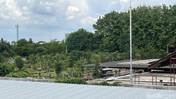 Daerah Rumah Pensiun Jokowi Kini Jadi Primadona, Harga Hunian Melejit!