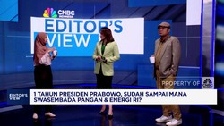 Setahun Prabowo-Gibran, Menakar Capaian Swasembada Pangan-Energi