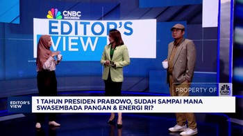 Setahun Prabowo-Gibran, Menakar Capaian Swasembada Pangan-Energi