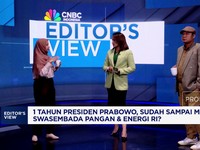 Setahun Prabowo-Gibran, Menakar Capaian Swasembada Pangan-Energi