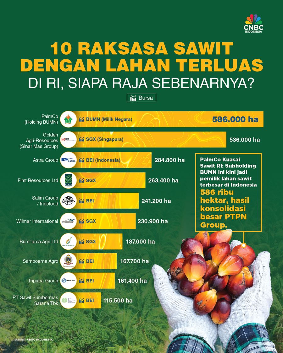 10 Raksasa Sawit dengan Lahan Terluas di RI, Siapa Raja Sebenarnya? 10 Raksasa Sawit dengan Lahan Terluas di RI, Siapa Raja Sebenarnya?