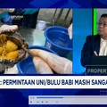 Video: Ini Dia Harta Karun Seafood RI, 3x Lipat Lebih Mahal Dari Tuna