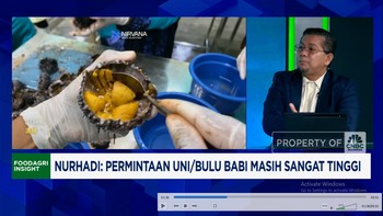 Video: Ini Dia Harta Karun Seafood RI, 3x Lipat Lebih Mahal Dari Tuna