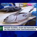 Video: Jepang - AS Ketagihan Seafood RI, Eksportir Ungkap Tantangannya