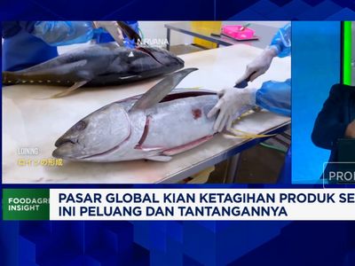 Video: Jepang - AS Ketagihan Seafood RI, Eksportir Ungkap Tantangannya