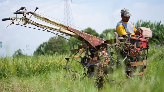 BPH Migas Terbitkan 542 Ribu Surat Rekomendasi Penyaluran BBM