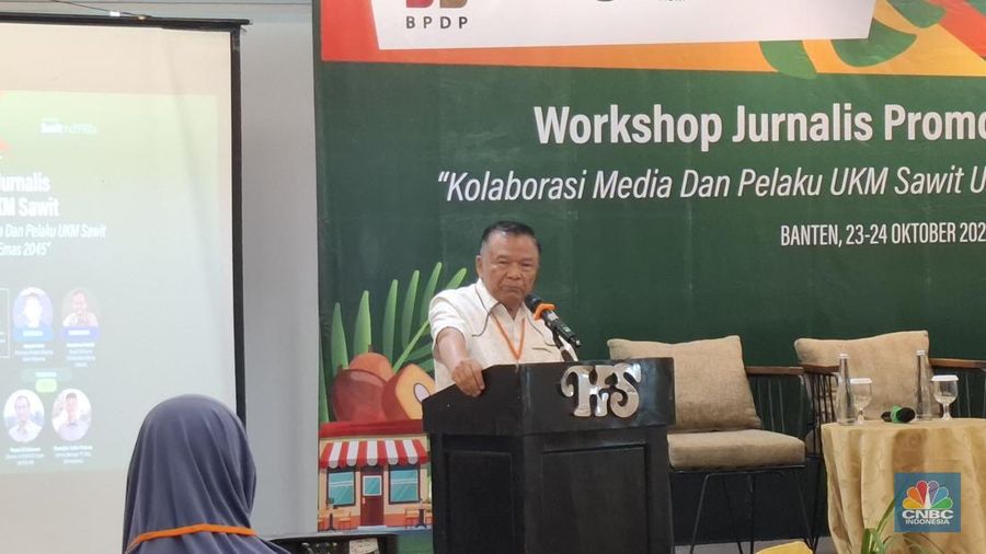 Ketua Umum Dewan Minyak Sawit (DMSI) sekaligus Direktur Eksekutif Gabungan Industri Minyak Nabati Indonesia (GIMNI), Sahat Sinaga memberikan paparan di acara Workshop Jurnalis Promosi UKM Sawit, Kamis (23/10/2025). (CNBC Indonesia/Chandra Dwi)