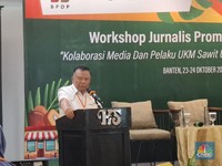 Industri Sawit RI Masih Amburadul, Ini Tanda-tandanya Menurut DMSI