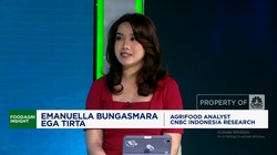 Video: Produksi Stagnan Bikin Impor Kedelai RI Meroket ke 2,6 Juta Ton