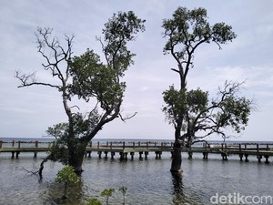 Wisatawan Diimbau Tidak Menyalakan Kembang Api di Kepulauan Seribu Saat Tahun Baru