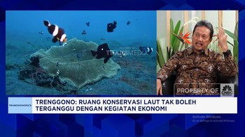 Video: Ambisi RI Punya Ruang Konservasi Laut 79,5 Juta Hektare di 2045