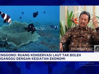 Video: Ambisi RI Punya Ruang Konservasi Laut 79,5 Juta Hektare di 2045