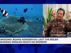 Video: Ambisi RI Punya Ruang Konservasi Laut 79,5 Juta Hektare di 2045