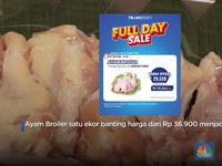 Video: Ayam Broiler di Transmart Potong Harga!