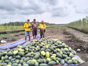 BAP Dorong Petani di OKI Kelola Lahan Produktif dan Ramah Lingkungan