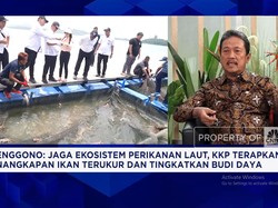 Video: Cegah Overfishing, KKP Terapkan Penangkapan Ikan Terukur