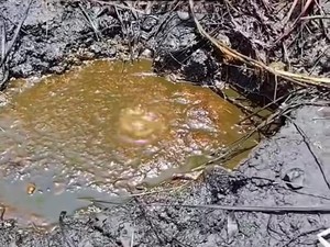 Sumber Minyak Muncul di Nganjuk Ternyata Sudah Ada Sejak Zaman Belanda
