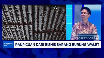 Video: Kuasai 80% Produksi Global, Sarang Walet RI Kian Diminati