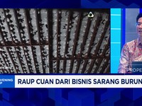 Video: Kuasai 80% Produksi Global, Sarang Walet RI Kian Diminati