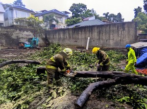 Bandung Diterjang Hujan dan Angin, Empat Pohon Tumbang
