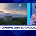 Video: Teknologi IoT & AI Dorong Modernisasi Industri Sarang Walet RI