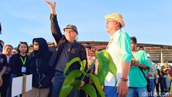 Iwan Fals Terpesona Malinau, Sampai Bikinkan Lagu dan Tanam Pohon