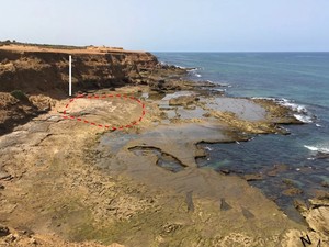 Kisah Jejak Purba dari 90.000 Tahun Lalu, Terawetkan di Pantai Maroko