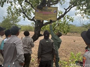 Petugas Lagi-lagi Temukan Jalur Pendakian Ilegal di Tambora, Total Sudah Enam