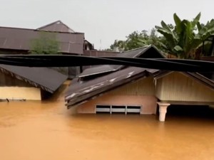 Video Banjir di Tolitoli, Air Capai Atap Rumah Warga
