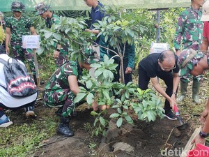 Antisipasi Banjir, Bali Tanam 35 Ribu Pohon dan Bersih-bersih 492 Km Sungai