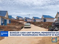 Bangun 1.000 Rumah, Pemerintah Kembangkan Kawasan Transmigrasi