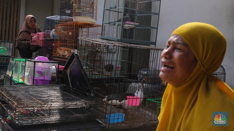 Petugas menggunakan eskavator saat membongkar Pasar Hewan di Jalan Barito Satu, Jakarta Selatan, Senin (27/10/2025). Pembongkaran dilakukan sebagai bagian dari proyek penataan kawasan menjadi Taman Bendera Pusaka. (CNBC Indonesia/Faisal Rahman)