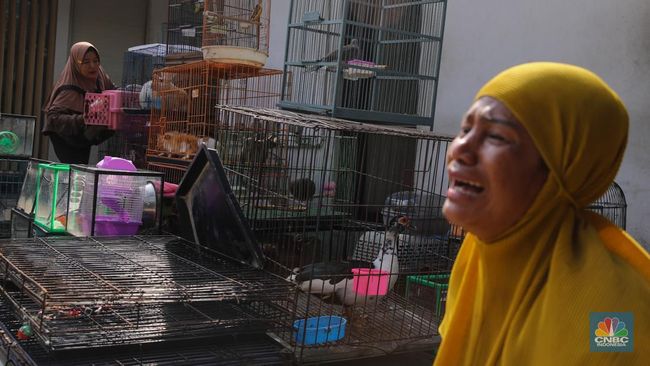 Detik-Detik Pasar Legendaris Barito Dibongkar, Sudah Rata dengan Tanah