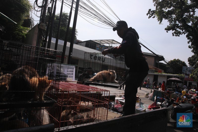 Petugas menggunakan eskavator saat membongkar Pasar Hewan di Jalan Barito Satu, Jakarta Selatan, Senin (27/10/2025). Pembongkaran dilakukan sebagai bagian dari proyek penataan kawasan menjadi Taman Bendera Pusaka. Petugas menggunakan eskavator saat membongkar Pasar Hewan di Jalan Barito Satu, Jakarta Selatan, Senin (27/10/2025). Pembongkaran dilakukan sebagai bagian dari proyek penataan kawasan menjadi Taman Bendera Pusaka. (CNBC Indonesia/Faisal Rahman)