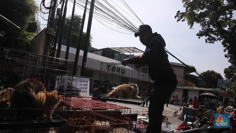 Petugas menggunakan eskavator saat membongkar Pasar Hewan di Jalan Barito Satu, Jakarta Selatan, Senin (27/10/2025). Pembongkaran dilakukan sebagai bagian dari proyek penataan kawasan menjadi Taman Bendera Pusaka. Petugas menggunakan eskavator saat membongkar Pasar Hewan di Jalan Barito Satu, Jakarta Selatan, Senin (27/10/2025). Pembongkaran dilakukan sebagai bagian dari proyek penataan kawasan menjadi Taman Bendera Pusaka. (CNBC Indonesia/Faisal Rahman)