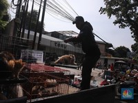 Detik-Detik Pasar Legendaris Barito Dibongkar, Sudah Rata dengan Tanah