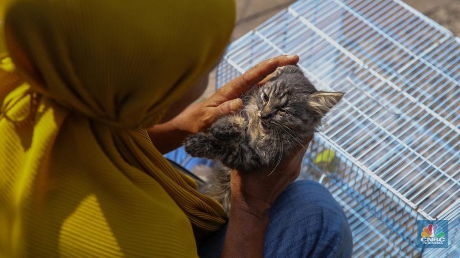 Petugas menggunakan eskavator saat membongkar Pasar Hewan di Jalan Barito Satu, Jakarta Selatan, Senin (27/10/2025). Pembongkaran dilakukan sebagai bagian dari proyek penataan kawasan menjadi Taman Bendera Pusaka. Petugas menggunakan eskavator saat membongkar Pasar Hewan di Jalan Barito Satu, Jakarta Selatan, Senin (27/10/2025). Pembongkaran dilakukan sebagai bagian dari proyek penataan kawasan menjadi Taman Bendera Pusaka. (CNBC Indonesia/Faisal Rahman)