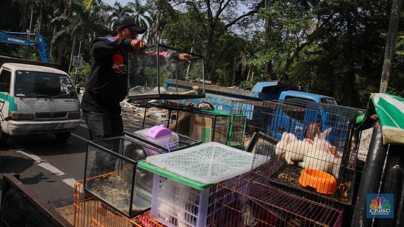 Petugas menggunakan eskavator saat membongkar Pasar Hewan di Jalan Barito Satu, Jakarta Selatan, Senin (27/10/2025). Pembongkaran dilakukan sebagai bagian dari proyek penataan kawasan menjadi Taman Bendera Pusaka. Petugas menggunakan eskavator saat membongkar Pasar Hewan di Jalan Barito Satu, Jakarta Selatan, Senin (27/10/2025). Pembongkaran dilakukan sebagai bagian dari proyek penataan kawasan menjadi Taman Bendera Pusaka. (CNBC Indonesia/Faisal Rahman)
