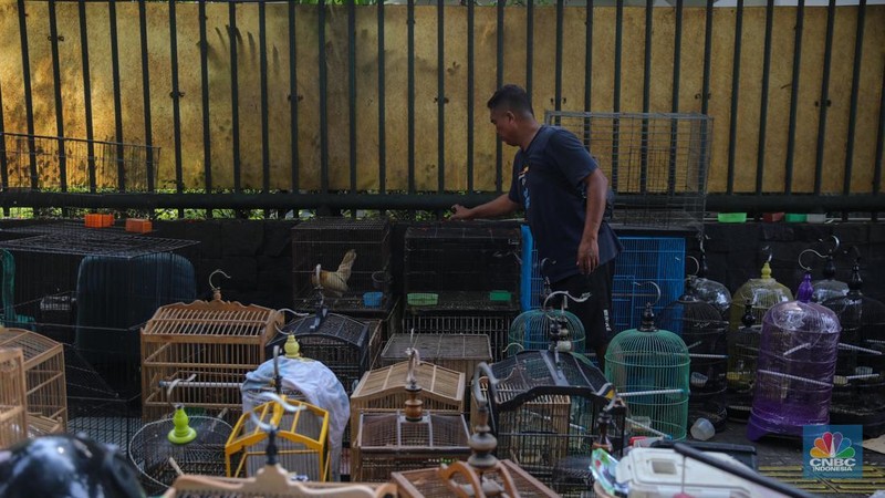 Petugas menggunakan eskavator saat membongkar Pasar Hewan di Jalan Barito Satu, Jakarta Selatan, Senin (27/10/2025). Pembongkaran dilakukan sebagai bagian dari proyek penataan kawasan menjadi Taman Bendera Pusaka. Petugas menggunakan eskavator saat membongkar Pasar Hewan di Jalan Barito Satu, Jakarta Selatan, Senin (27/10/2025). Pembongkaran dilakukan sebagai bagian dari proyek penataan kawasan menjadi Taman Bendera Pusaka. (CNBC Indonesia/Faisal Rahman)