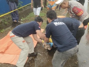 Lansia Ditemukan Tewas di Pinggir Jalan Kolaka, Diduga Korban Tabrak Lari