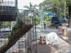 Video: Pasar Barito Dibongkar, Pedagang Pindah ke Sentra Fauna Lenteng Agung