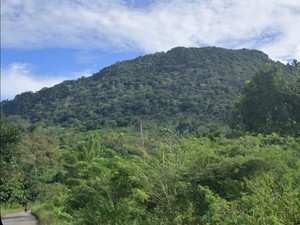 Legenda Bukit Babi Gemuk, Kisah Tiga Anak Yatim dan Keajaiban di Tanah Timor