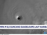 Video: Gempa M 6,5 Guncang Guadeloupe Laut Karibia