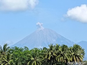 Gunung Semeru Erupsi Pagi Ini, Warga Aliran Sungai Diimbau Waspada