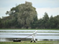 Sedih.. Potret 130.000 Burung Dimusnahkan di Jerman, Ayam-Bebek Kena