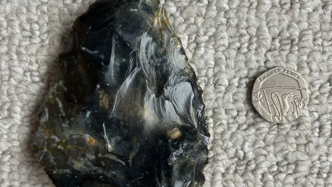 Anak Pungut Batu di Pantai, Ternyata Harta Karun 50.000 Tahun