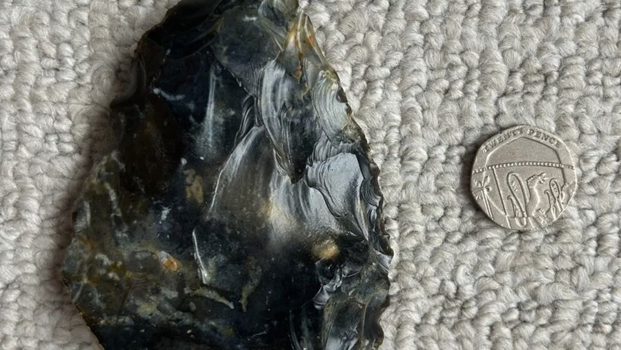 Kapak tangan, yang terlihat di samping koin 20 pence, berusia antara 40.000 dan 60.000 tahun. (Museum Worthing)