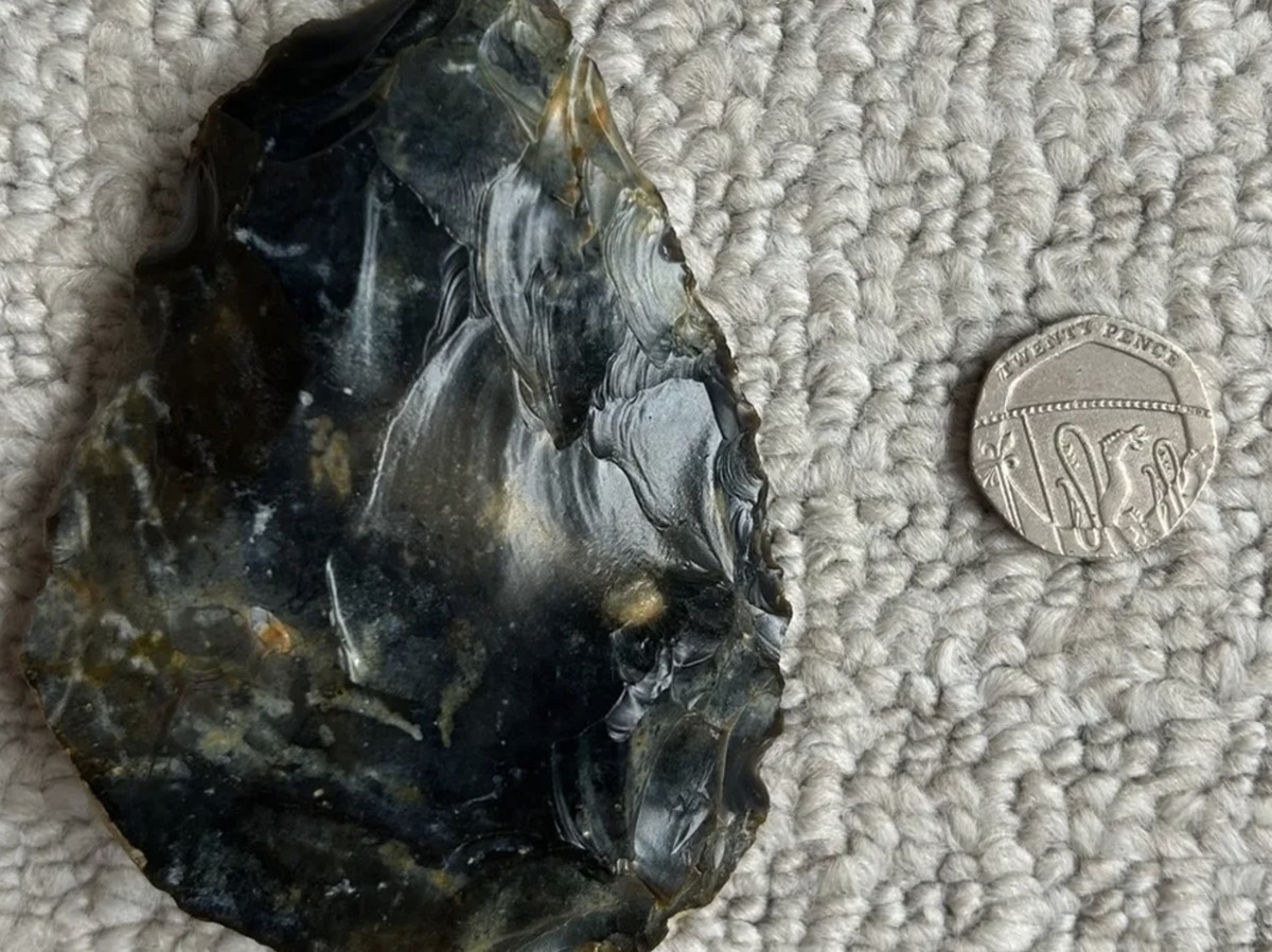 Penemuan Kapak Tangan Neanderthal Berusia 50 Ribu Tahun di Pantai Sussex